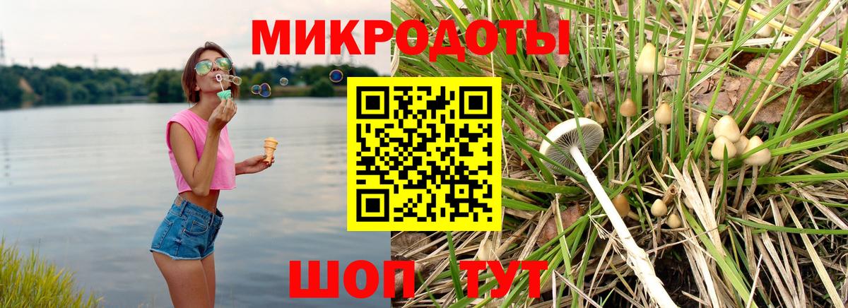 Галлюциногенные грибы прущие грибы Чапаевск